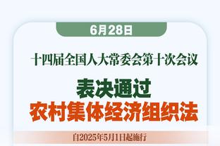 雷丁老板戴永革决定出售球队训练场，引发球迷抗议&潜在买家退出